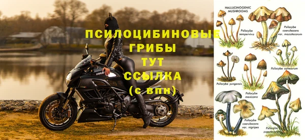 а пвп мука Алзамай