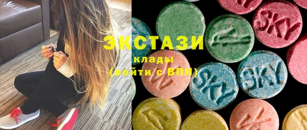 индика Покачи