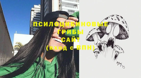 дурь Алексин