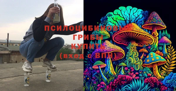 дурь Алексин